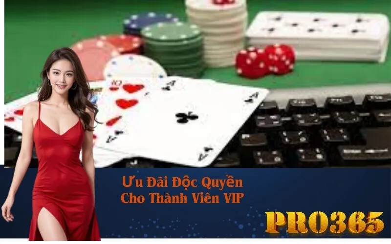Ưu Đãi Độc Quyền Cho Thành Viên VIP