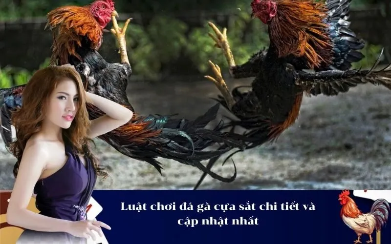 Luật chơi đá gà cựa sắt chi tiết và cập nhật nhất
