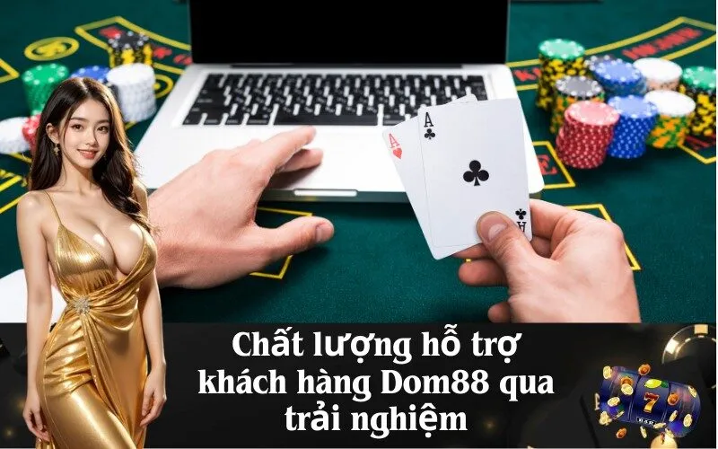 Chất lượng hỗ trợ khách hàng Dom88 qua trải nghiệm